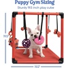 image:imageRaceampHerd 195 Puppy Play Gym  Small Dog Jungle Activity Mat CherryCherry