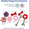 image:imageRaceampHerd 195 Puppy Play Gym  Small Dog Jungle Activity Mat CherryCherry