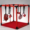 image:imageRaceampHerd 195 Puppy Play Gym  Small Dog Jungle Activity Mat CherryCherry