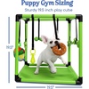 image:imageRaceampHerd 195 Puppy Play Gym  Small Dog Jungle Activity Mat CherryLime