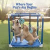 image:imageRaceampHerd 195 Puppy Play Gym  Small Dog Jungle Activity Mat CherryOcean
