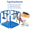 image:imageRaceampHerd 195 Puppy Play Gym  Small Dog Jungle Activity Mat CherryOcean