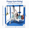 image:imageRaceampHerd 195 Puppy Play Gym  Small Dog Jungle Activity Mat CherryOcean