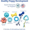 image:imageRaceampHerd 195 Puppy Play Gym  Small Dog Jungle Activity Mat CherryOcean