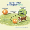 image:imageRaceampHerd 22 Herding Ball for Dogs Tetherball Set Outside OceanGold