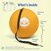 image:imageRaceampHerd 22 Herding Ball for Dogs Tetherball Set Outside OceanGold