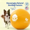 image:imageRaceampHerd 22 Herding Ball for Dogs Tetherball Set Outside OceanGold