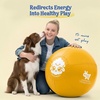 image:imageRaceampHerd 22 Herding Ball for Dogs Tetherball Set Outside OceanGold