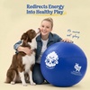 image:imageRaceampHerd 22 Herding Ball for Dogs Tetherball Set Outside OceanOcean