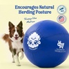 image:imageRaceampHerd 22 Herding Ball for Dogs Tetherball Set Outside OceanOcean