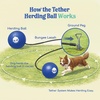 image:imageRaceampHerd 22 Herding Ball for Dogs Tetherball Set Outside OceanOcean