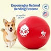 image:imageRaceampHerd 22 Original Herding Ball for Dogs  Balls for Dog Toys OceanCherry 22 Herding Ball Set