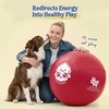 image:imageRaceampHerd 22 Original Herding Ball for Dogs  Balls for Dog Toys OceanCherry 22 Herding Ball Set