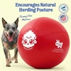 image:imageRaceampHerd 22 Original Herding Ball for Dogs  Balls for Dog Toys OceanCherry 25 Herding Ball Set