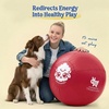 image:imageRaceampHerd 22 Original Herding Ball for Dogs  Balls for Dog Toys OceanCherry 25 Herding Ball Set