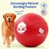 image:imageRaceampHerd 22 Original Herding Ball for Dogs  Balls for Dog Toys OceanCherry 30 Herding Ball Set