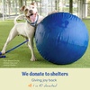 image:imageRaceampHerd 22 Original Herding Ball for Dogs  Balls for Dog Toys OceanGold 18 Herding Ball Set