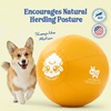 image:imageRaceampHerd 22 Original Herding Ball for Dogs  Balls for Dog Toys OceanGold 18 Herding Ball Set