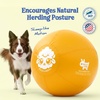 image:imageRaceampHerd 22 Original Herding Ball for Dogs  Balls for Dog Toys OceanGold 22 Herding Ball Set