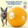 image:imageRaceampHerd 22 Original Herding Ball for Dogs  Balls for Dog Toys OceanGold 25 Herding Ball Set