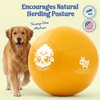 image:imageRaceampHerd 22 Original Herding Ball for Dogs  Balls for Dog Toys OceanGold 30 Herding Ball Set