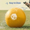 image:imageRaceampHerd 22 Original Herding Ball for Dogs  Balls for Dog Toys OceanGold 30 Herding Ball Set