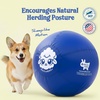 image:imageRaceampHerd 22 Original Herding Ball for Dogs  Balls for Dog Toys OceanOcean 18 Herding Ball Set