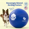 image:imageRaceampHerd 22 Original Herding Ball for Dogs  Balls for Dog Toys OceanOcean 22 Herding Ball Set
