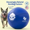 image:imageRaceampHerd 22 Original Herding Ball for Dogs  Balls for Dog Toys OceanOcean 25 Herding Ball Set