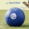image:imageRaceampHerd 22 Original Herding Ball for Dogs  Balls for Dog Toys OceanOcean 25 Herding Ball Set