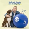 image:imageRaceampHerd 22 Original Herding Ball for Dogs  Balls for Dog Toys OceanOcean 30 Herding Ball Set