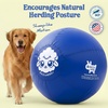 image:imageRaceampHerd 22 Original Herding Ball for Dogs  Balls for Dog Toys OceanOcean 30 Herding Ball Set