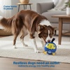 image:imageRaceampHerd 22 Original Herding Ball for Dogs  Balls for Dog Toys OceanOcean 75 Compact Herding Ball