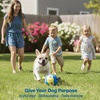 image:imageRaceampHerd 22 Original Herding Ball for Dogs  Balls for Dog Toys OceanOcean 75 Compact Herding Ball