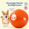 image:imageRaceampHerd 22 Original Herding Ball for Dogs  Balls for Dog Toys OceanTangerine 18 Herding Ball Set