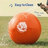 image:imageRaceampHerd 22 Original Herding Ball for Dogs  Balls for Dog Toys OceanTangerine 18 Herding Ball Set