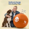 image:imageRaceampHerd 22 Original Herding Ball for Dogs  Balls for Dog Toys OceanTangerine 25 Herding Ball Set