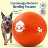 image:imageRaceampHerd 22 Original Herding Ball for Dogs  Balls for Dog Toys OceanTangerine 25 Herding Ball Set