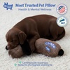 image:imageRaceampHerd CuddleBun Heartbeat Puppy Toy Sleep Aid  Cuddler Pillow BeigeCocoa