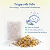 image:imageRaceampHerd CuddleBun Heartbeat Puppy Toy Sleep Aid  Cuddler Pillow BeigeCocoa