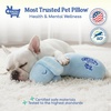 image:imageRaceampHerd CuddleBun Heartbeat Puppy Toy Sleep Aid  Cuddler Pillow BeigeSky
