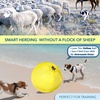 image:imageRaceampHerd Herding Ball Inner Replacement for Dogs Medium 25 Blue18 Replacement Cover