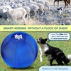 image:imageRaceampHerd Herding Ball Inner Replacement for Dogs Medium 25 Blue25 Replacement Cover