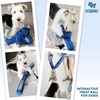 image:imageRaceampHerd KnottyBall Xtreme Snuffle Ball for Dogs  500 Pocket PuzzleKnottyBall