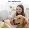 image:imageRaceampHerd Original Dog Scent Training Kit Scent Work Training Kit for Dogs  Nosework for Dog Mental Stimulation Agility Training Equipment for Dogs Brain Games Smell Training Kit for Loss of SmellTangerine  10 Pack Box