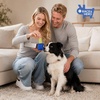 image:imageRaceampHerd Original Dog Scent Training Kit Scent Work Training Kit for Dogs  Nosework for Dog Mental Stimulation Agility Training Equipment for Dogs Brain Games Smell Training Kit for Loss of SmellOcean  6 Pack Bag