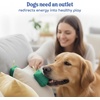 image:imageRaceampHerd Original Dog Scent Training Kit Scent Work Training Kit for Dogs  Nosework for Dog Mental Stimulation Agility Training Equipment for Dogs Brain Games Smell Training Kit for Loss of SmellSage  10 Pack Box