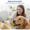 image:imageRaceampHerd Original Dog Scent Training Kit Scent Work Training Kit for Dogs  Nosework for Dog Mental Stimulation Agility Training Equipment for Dogs Brain Games Smell Training Kit for Loss of SmellGold  10 Pack Box