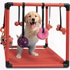 image:imageRaceampHerd 195 Puppy Play Gym  Small Dog Jungle Activity Mat CherryCherry