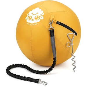 image:imageRaceampHerd 22 Herding Ball for Dogs Tetherball Set Outside OceanGold